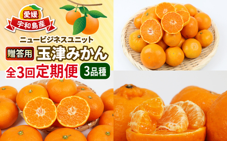 【定期便】みかん定期便柑橘3回NBU |B050-058007 みかん