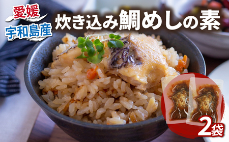 炊き込み鯛めし の 素 2合分× 2個 コバヤ ご飯 D010-059001