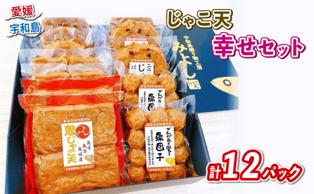 じゃこ天 幸せセット 宇和島練り物工房みよし おつまみ おつまみ C022-061003