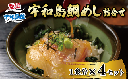鯛 宇和島 鯛めし 4食 辻水産 D012-062001