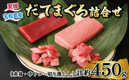 【 辻水産 】鮪 中トロ マグロ 詰合せ  約450g│D024-062005 鮪