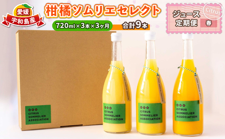 ジュース定期便 3回 720ml × 3本 計9本 柑橘ソムリエ 定期便 H040-064002