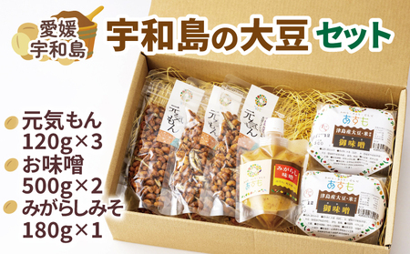 豆菓子 計360g 麦味噌 計1kg みがらしみそ 180g 大豆 セット 企業組合 津島 あぐり工房 J012-066001