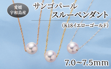 サンゴ パール ペンダント 7.0-7.5mm イエローゴールド 松本真珠 パール A120-068005