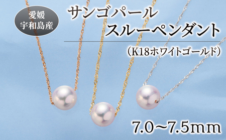 サンゴ パール ペンダント 7.0-7.5mm ホワイトゴールド 松本真珠 パール A120-068006