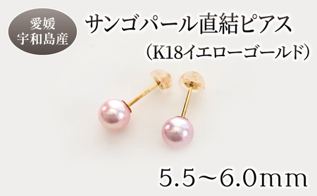 サンゴ パール 直結 ピアス 5.5-6.0mm イエローゴールド 松本真珠 ピアス A170-068007