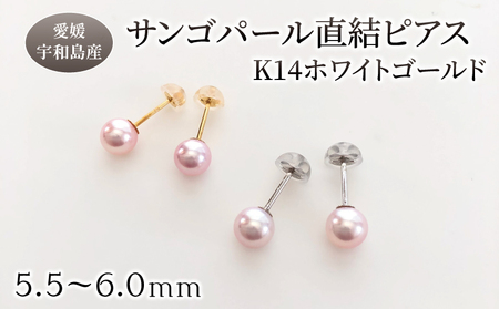 サンゴ パール 直結 ピアス 5.5-6.0mm ホワイトゴールド 松本真珠 ピアス A170-068008