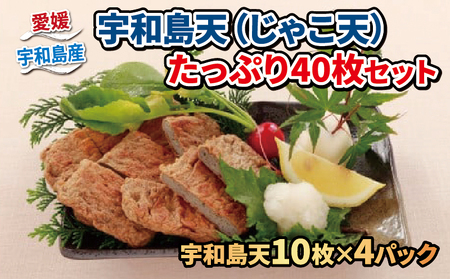 【練物】じゃこ天40枚小林フーズ 練物|C012-070001