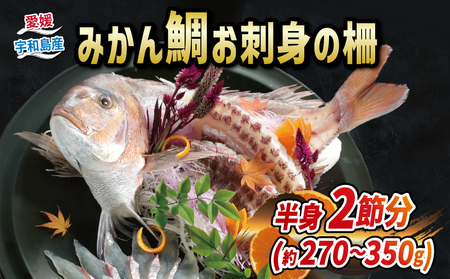 みかん鯛 刺し身用270g~350g 宇和島ﾌﾟﾛｼﾞｪｸﾄ | 刺し身D012-071001