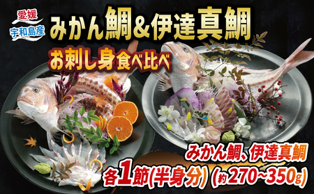 みかん 鯛 ＆ 伊達 真鯛 270g ~ 350g 刺身 宇和島プロジェクト D012-071003