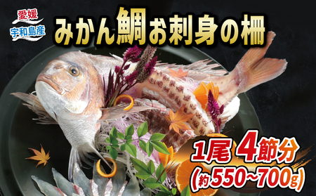 みかん 真鯛 刺し身 1尾 4節 宇和島プロジェクト 刺し身 D022-071004