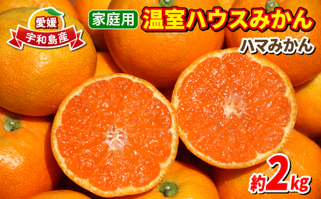 ハウスみかん 2kg家庭用ハマみかん 先行予約 B015-075004
