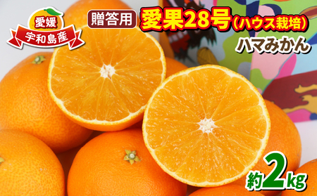 【愛果28号】 贈答用 2kg 愛果28号 【B018-075005】