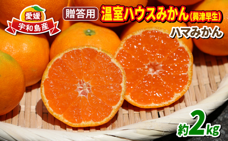 ハウスみかん 贈答用 2kg ハマみかん 先行予約 ハウス B024-075008
