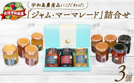 ジャム マーマレード 詰め合わせ 3個 Citrus-Line ジャム J012-098001