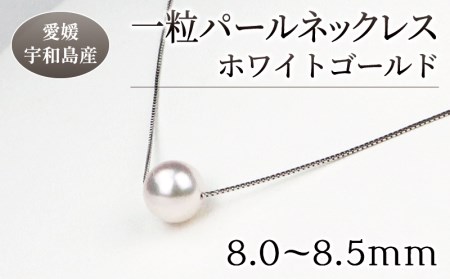 パール 花珠一粒 パールネックレス 8.0-8.5mm ホワイトゴールド 宇和海真珠 A150-102003