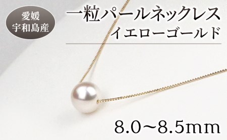 真珠 花珠 一粒 パールネックレス 8.0-8.5mm イエローゴールド 宇和海真珠 ネックレス A150-102005