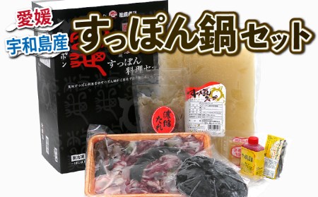 すっぽん鍋セット精肉550g甲羅120g水幸苑(スープ付) 【D035-103006】