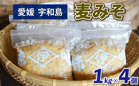 【マツコの知らない世界で紹介！】 みそ 麦みそ 4kg 井伊商店 J010-108001