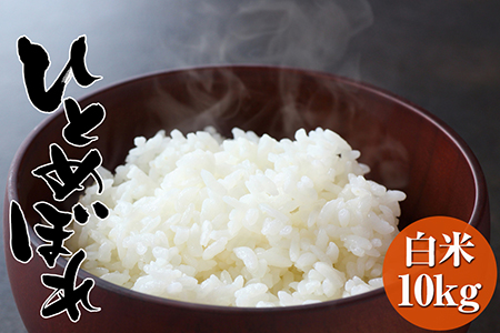 令和7年度産 ひとめぼれ白米10kg 海の見える農園で作ったお米 ひとめぼれ