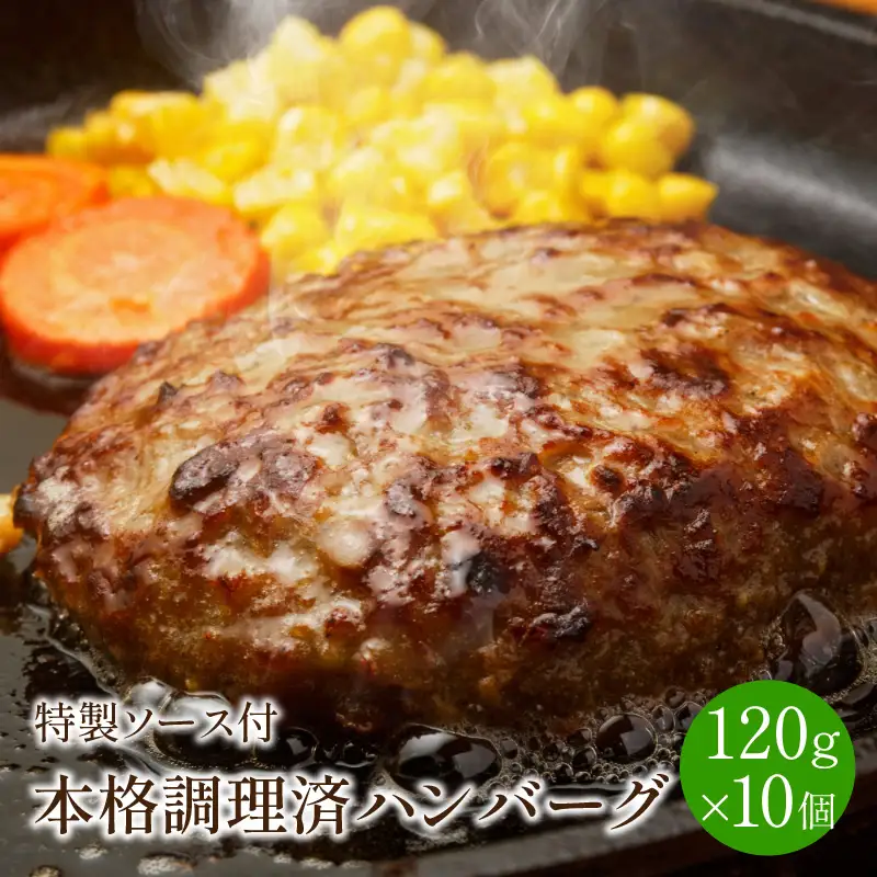 本格調理済ハンバーグ10食 特製ソース付【001-0010】ハンバーグ 惣菜 冷凍 湯せん レンジ 10個 真空 個食 パック 送料無料