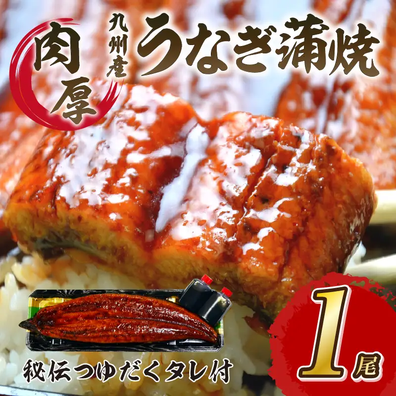 肉厚九州うなぎ蒲焼1尾　秘伝つゆだくタレ【001-0075】