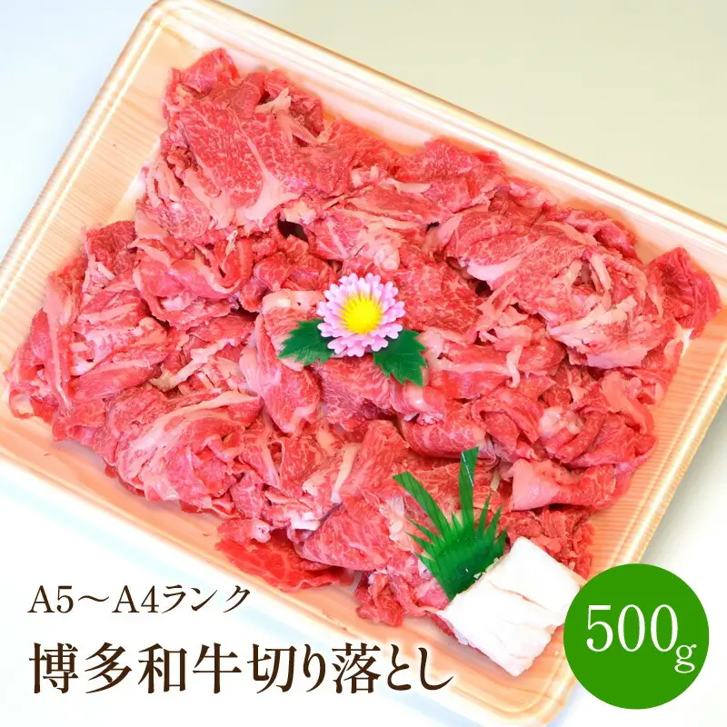 博多和牛A5～A4 切り落とし500g【001-0083】