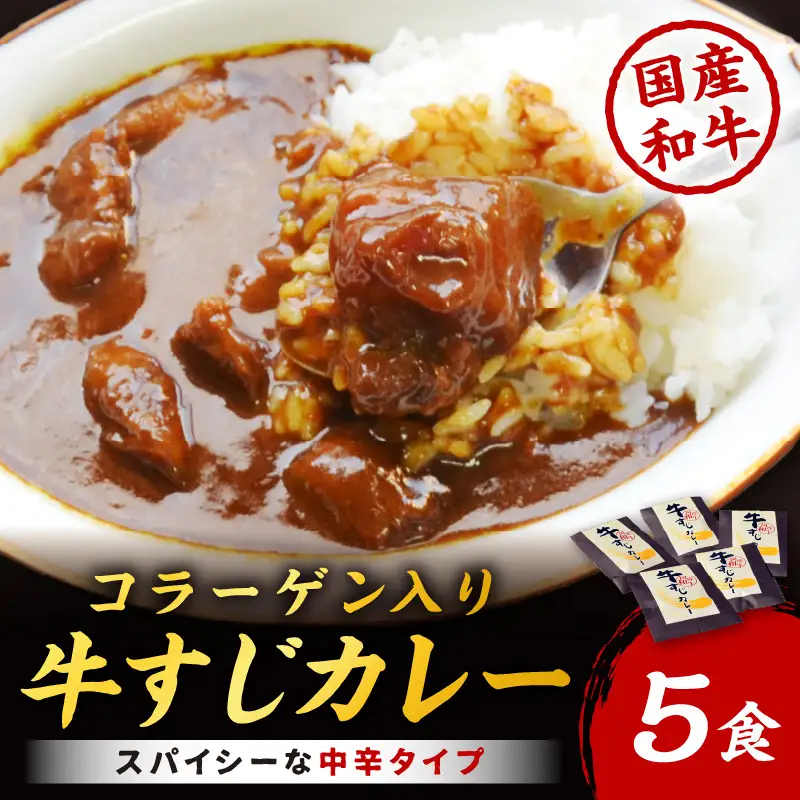 [博多和牛]ゴロッ!と入ったコラーゲン牛すじカレー5食【001-0085】