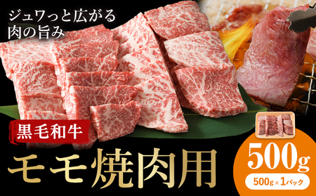 牛肉 くまもと 黒毛和牛 モモ 焼肉用 500g 熊本県畜産農業協同組合 【配送不可地域：離島】《60日以内に出荷予定(土日祝除く)》 熊本県 産山村 牛肉 くまもと黒毛和牛 焼肉 モモ肉 もも 赤身 BBQ
