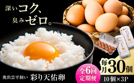 【6回定期便】彩り天佑卵 30個入り [AIDL003] 卵