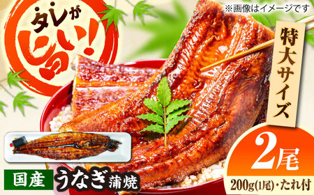 国産活うなぎ蒲焼 2本入 [AICQ005] 鰻