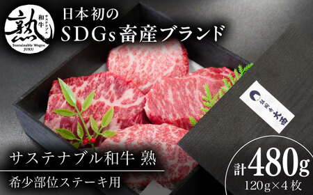 稀少部位ステーキ用（ロース/バラ/モモ/カタ） 120g×4枚  [AIAT012] 牛肉 ステーキ肉 焼肉