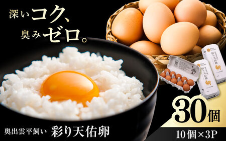 卵 彩り天佑卵 30個 平飼いたまご [AIDL001]