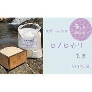 【定期便・全5回】矢野川のお米　ヒノヒカリ玄米5kgｘ5回