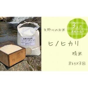 【定期便・全3回】矢野川のお米　ヒノヒカリ精米8kgx3回