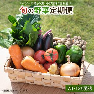 「ベジーズ館」の夏・冬野菜　年２回コース （7月と12月発送）｜【野菜定期便・野菜・定期便・冬野菜・夏野菜・野菜セット・旬の野菜・兵庫野菜・相生野菜・国産野菜・野菜詰め合わせ・冬野菜詰め合わせ・夏野菜詰め合わせ】