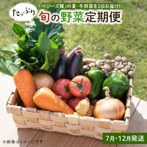 「ベジーズ館」の夏・冬野菜　年２回コース （7月と12月発送）【たっぷりセット】｜【野菜定期便・野菜・定期便・冬野菜・夏野菜・野菜セット・旬の野菜・兵庫野菜・相生野菜・国産野菜・野菜詰め合わせ・冬野菜詰め合わせ・夏野菜詰め合わせ】