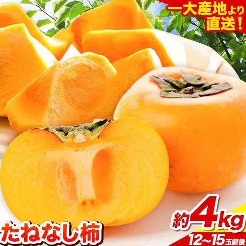 柿 たねなし柿 約4kg