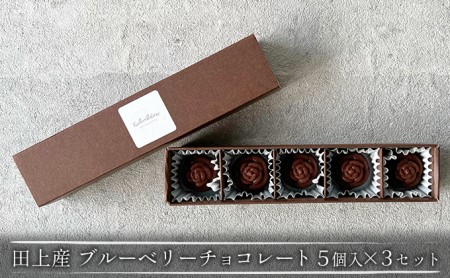 田上産 栽培期間中無農薬ブルーベリーで作るチョコレート 5個入×3セット スイーツ お菓子 