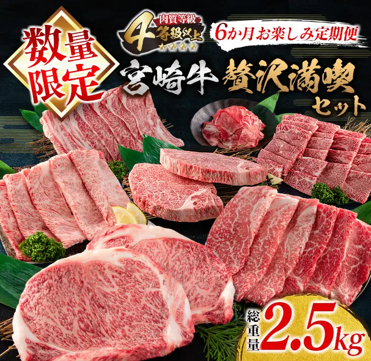 数量限定 6か月 お楽しみ 定期便 宮崎牛 贅沢 満喫 セット 総重量2.5kg_NA1-25