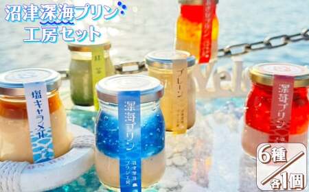 プリン 【沼津深海プリン工房】6種 詰め合わせ