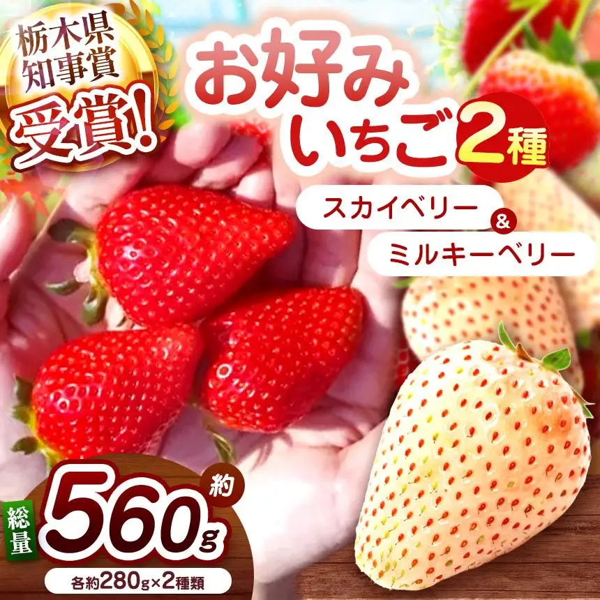 【2027年先行予約】大粒スカイベリー×白いちごミルキーベリー 食べ比べセット 560g