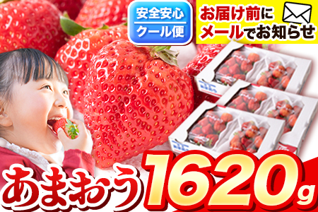 【2026年出荷】いちご あまおう1620g (約270g×6パック) 福岡県産あまおう