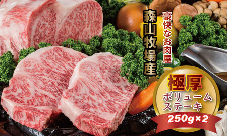 黒毛和牛 ロースステーキ 250g×2 C270-001 ステーキ 牛肉
