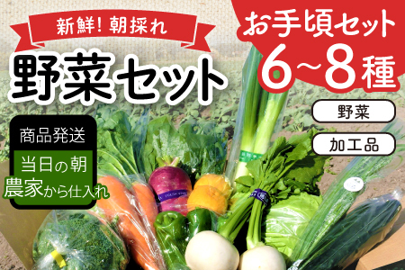新鮮朝採れ野菜　お手頃セット【 新鮮野菜 6~8種類 季節 旬 野菜 果物 詰め合せ 国産 おまかせ ミニセット 葉物 根菜 冷蔵 野菜室 加工品 鳥取県産 季節限定 山菜 加工品】
