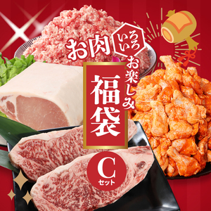 福袋 木城町 お肉いろいろお楽しみセットC _K16_0071_3