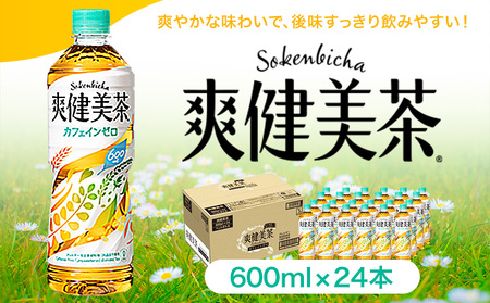 爽健美茶 600ml×24本 コカ・コーラボトラーズジャパン《30日以内に出荷予定(土日祝除く)》 お茶お茶お茶