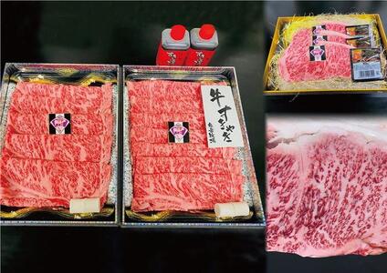 【AB777】長崎和牛 出島ばらいろ 2回定期便 《プチタイプJ》