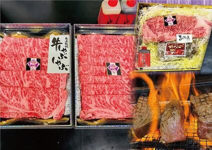 【AB778】長崎和牛 出島ばらいろ 2回定期便 《プチタイプK》
