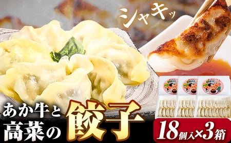 あか牛と高菜の餃子 18個入り×3箱 南阿蘇物産センター《30日以内に出荷予定(土日祝除く)》熊本県 南阿蘇村 肉 牛 うし 牛肉 あか牛 高菜 たかな 餃子